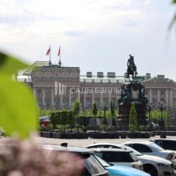 Липы из питомника «Сады Бэллы» — в самом сердце Санкт-Петербурга!