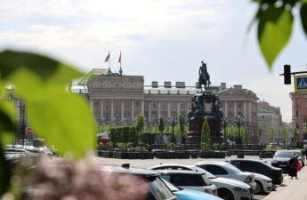 Липы из питомника «Сады Бэллы» – в самом сердце Санкт-Петербурга!